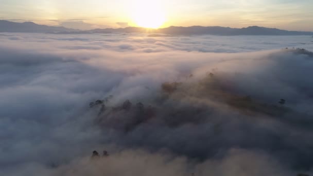 高空风景迷人的自然景观无人机摄像镜头高角形的雾带着美丽的日出流经高山在高开海岛的观点张恩加泰国 — 图库视频影像