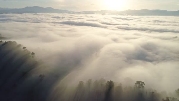 高空风景迷人的自然景观无人机摄像镜头高角形的雾带着美丽的日出流经高山在高开海岛的观点张恩加泰国 — 图库视频影像