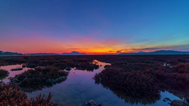 Time Lapse Night Day Footage Coral Reef Low Tide Water — Vídeos de Stock