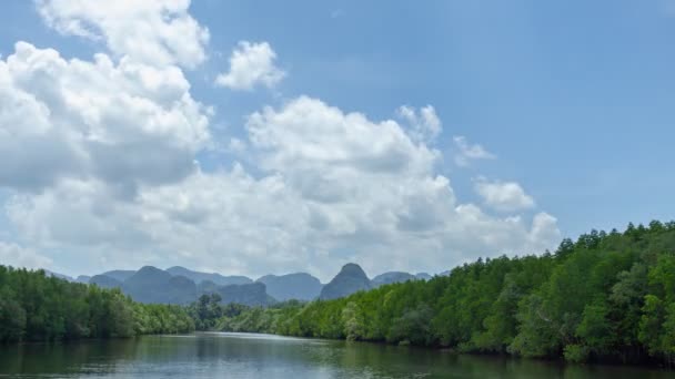 Красивий Природний Пейзаж Відображенням Хмар Річці Час Лапсе Пейзаж Природи — стокове відео