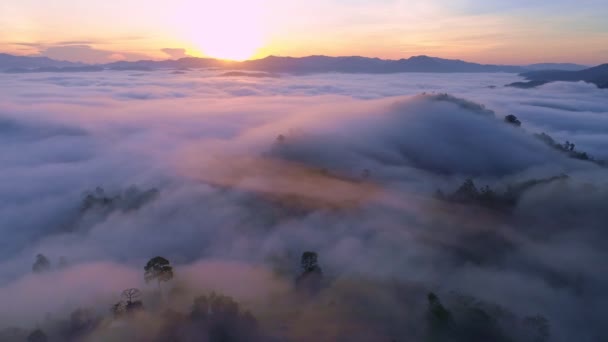 高空风景迷人的自然景观无人机摄像镜头高角形的雾带着美丽的日出流经高山在高开海岛的观点张恩加泰国 — 图库视频影像