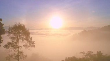 Şaşırtıcı manzara. Hava manzarası. Drone kamera görüntüsü. Yüksek açı görüntüsü. Sis dağın üzerinden Khao khai nui bakış açısı Phang Nga Tayland 'da güzel bir gündoğumu ile akıyor.