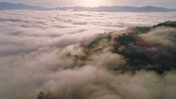 Потрясающий Пейзаж Природа Потрясающий Вид Высоты Птичьего Полета Съемка Беспилотной — стоковое видео