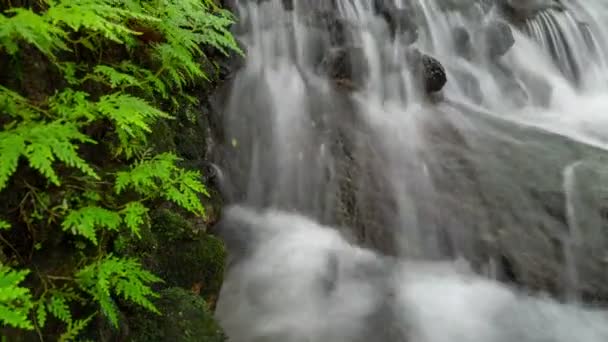 Dolly Slider Shot Beautiful Small Waterfall Splashing Tropical Rainforest Nature — Stock Video