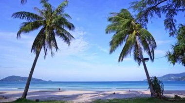 Dünyanın en güzel plajları Patong kumsalında Phuket Tayland 'da, okyanus palmiyeleri üzerinde Palmiyeler plajda beyaz kumlu mavi deniz ve mavi gökyüzü yaz manzarası