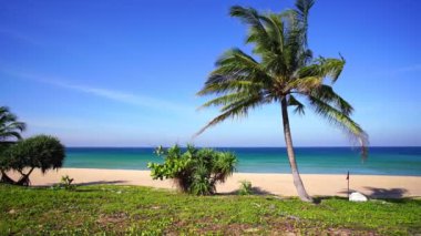 Hindistan cevizi palmiyeli Phuket Tayland 'daki Karon sahilinde tropikal deniz manzarası. Covid-19 Phuket plajı Andaman Denizi' nde ünlü bir turizm merkezidir.