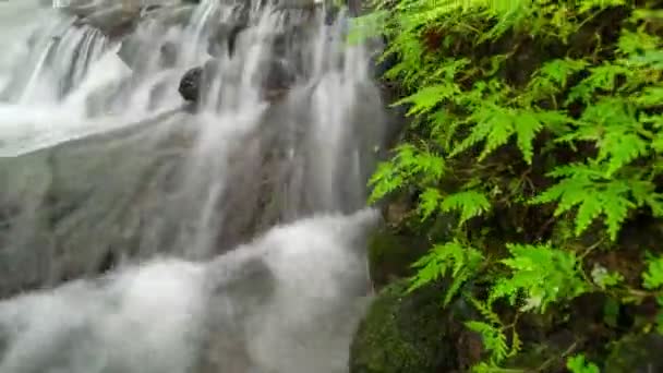 Доллі Повзунок Знімок Красивого Малий Водоспад Розщеплення Тропічних Тропічних Лісах — стокове відео