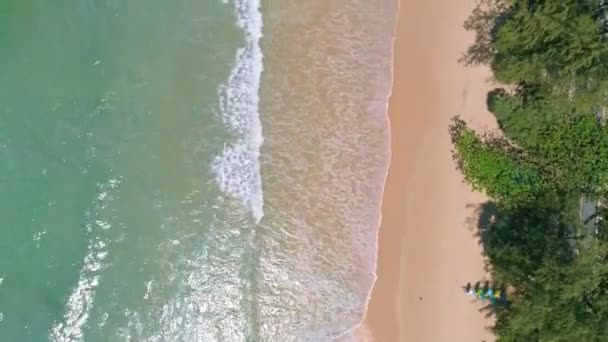 空中俯瞰无人驾驶飞机拍摄的视频飞越热带和人类海景 海浪冲撞沙滩 美丽的海面 清澈的海水 自然和旅行背景 — 图库视频影像