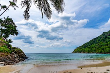 Palm Trees 'in çerçevesi Güzel Körfez manzaralı Phuket tatil beldesi Tropikal ada huzurlu arka plan, Yaz için açık seyahat sezonu ve tur konsepti.