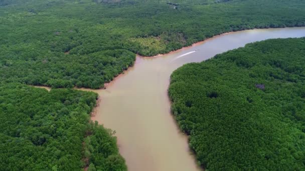 Aerial View Gyönyörű Zöld Mangrove Erdő Hegyek Csúcs Háttér Felső — Stock videók