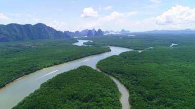 Hava manzaralı güzel yeşillik mangrov ormanı dağların zirvesi arka planda, mangrov ormanlarının en üst manzarası, Mangrov ormanları ve denize doğru eğri nehir, orman, doğa ve çevre kavramının üzerinden uçmak.
