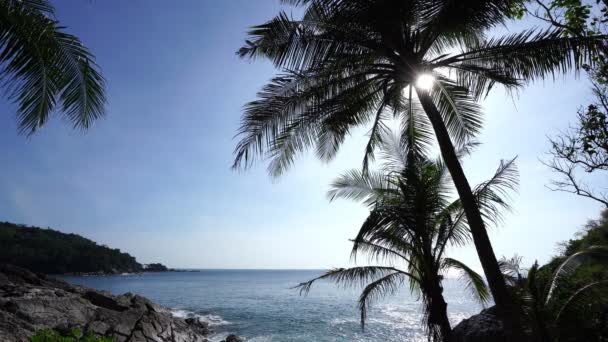 Tropical Seashore Coconut Palm Trees Travel Destinations Phuket Island — Stock Video