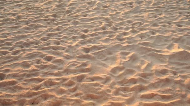 Παραλία Άμμο Υφή Κυματιστή Άμμος Στην Παραλία Φως Του Ηλιοβασιλέματος — Αρχείο Βίντεο