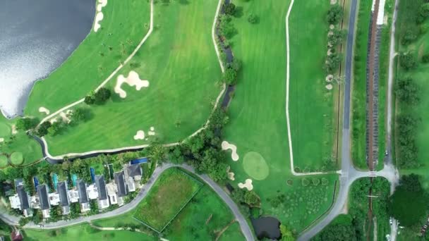Αεροφωτογραφία Του Πράσινου Χόρτου Και Των Δέντρων Ένα Γήπεδο Γκολφ — Αρχείο Βίντεο