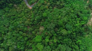 Baraj etrafındaki hava manzaralı yol eğrisi tropikal orman yeşil yağmur ormanı 4K görüntü kalitesi yüksek