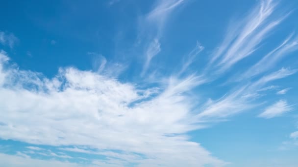 Kék Nappali Fény Nyári Bolyhos Fehér Felhők Mint Természet Idő — Stock videók