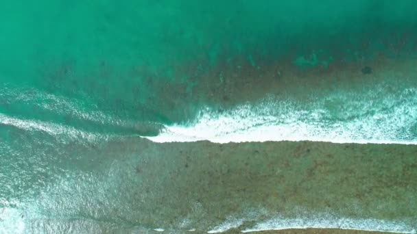 Flygfoto Ovanifrån Drönare Video Hög Kvalitet Vacker Tropisk Strand Med — Stockvideo