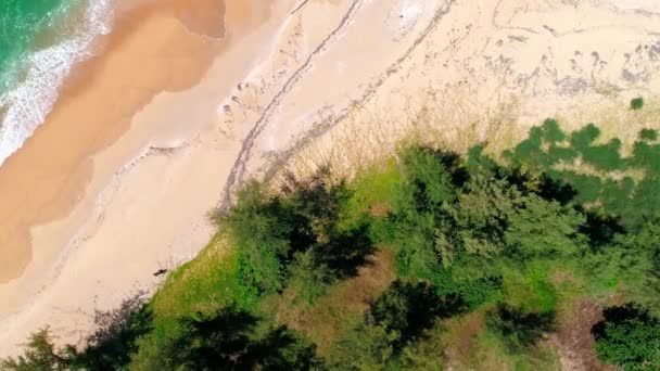 Вид Зверху Море Піщаний Пляж Дерева Вид Зверху Дрон Камера — стокове відео