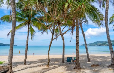 Sahildeki Hindistan cevizi palmiyeleri arka plan veya duvar kağıtları için egzotik tropikal plaj manzarası. Tatil konsepti ve doğa arka planıyla yaz tatillerinde seyahat için sakin plaj sahnesi..