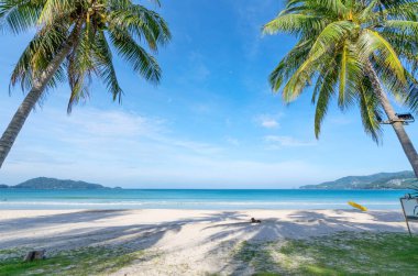 Hindistan cevizi palmiyeleri ve Phuket Patong plajında turkuaz deniz. Yaz tatili ve tropikal plaj geçmişi konsepti.