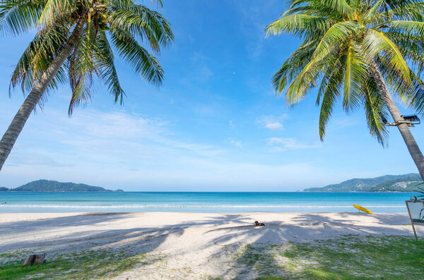 Coconut palm trees and turquoise sea in phuket patong beach. Summer nature vacation and tropical beach background concept.