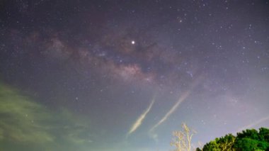 Zaman Hızı Samanyolu Galaksisi İnanılmaz Gece Yıldızları Parlayan Yıldızlarla ön planda ağaçlar Güzel doğa arkaplanı 4K