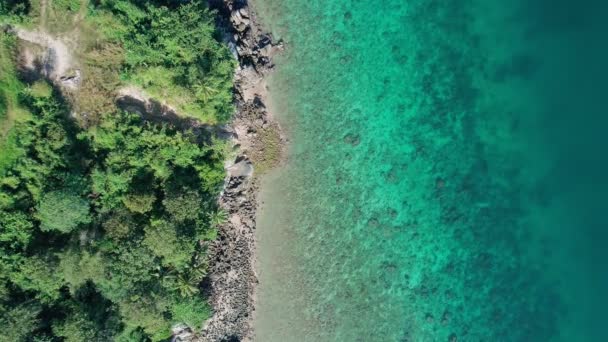 Von Oben Nach Unten Luftaufnahme Des Tropischen Meeres Mit Welle — Stockvideo