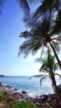 Boş deniz Phuket thailand içinde tropik deniz kıyısı ve dikey Phuket çerçeveli hindistan cevizi palmiyeleri Andaman Denizi 'nde ünlü bir turizm merkezidir.