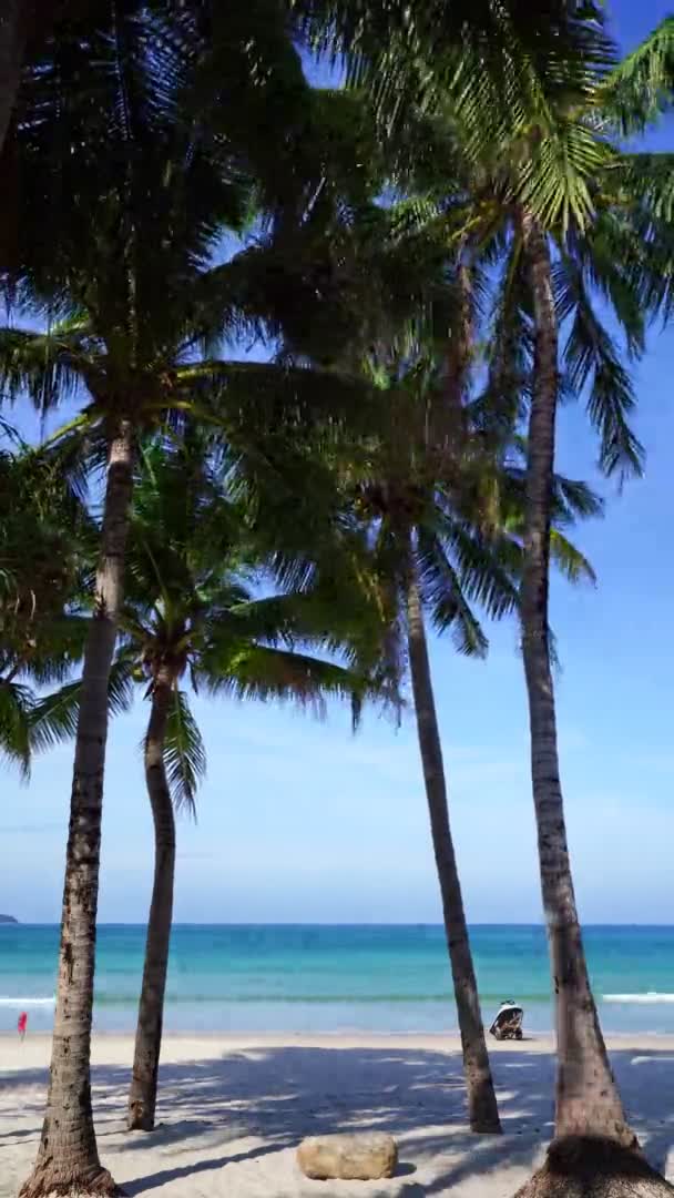 Tropisch Patong Strand Kokosnoot Palmbomen Turquoise Water Wit Zand Phuket — Stockvideo