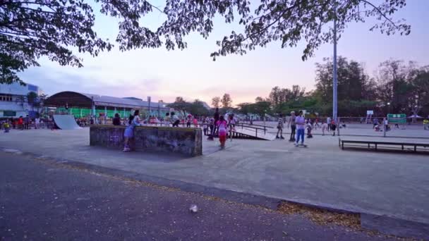 Groep Van Meisjes Jongens Spelen Skateboards Rolschaatsen Het Park Bij — Stockvideo