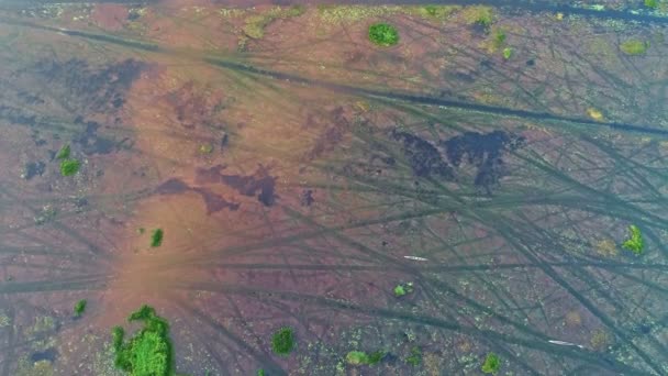 Vista Aérea Vídeo Arriba Abajo Drone Volar Sobre Pantano Lago — Vídeo de stock