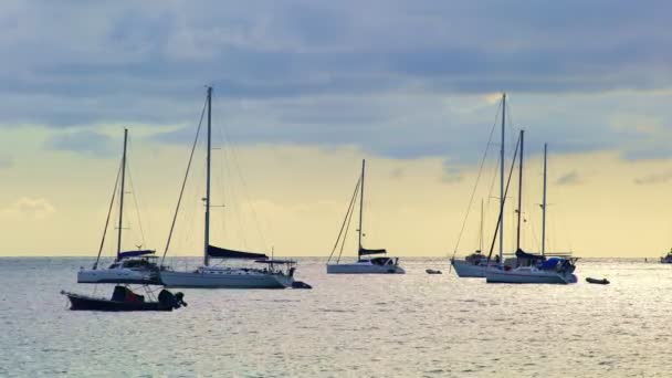 Yacht Hajó Vitorlás Hajók Vagy Utazási Hajók Gyönyörű Nyílt Tengeren — Stock videók