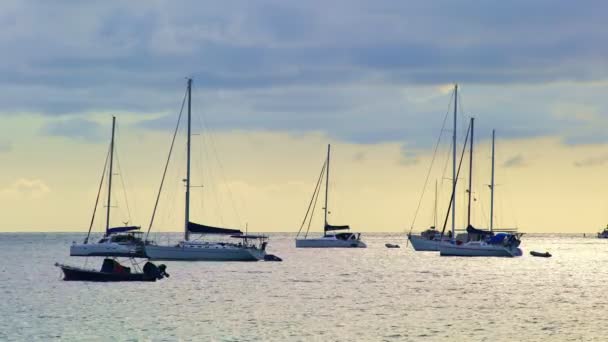 ヨットボートセーリングボートまたはサンセットスカイで美しいオープン海の旅行ボート夏の休日の背景や旅行先やウェブサイトのための素晴らしい — ストック動画