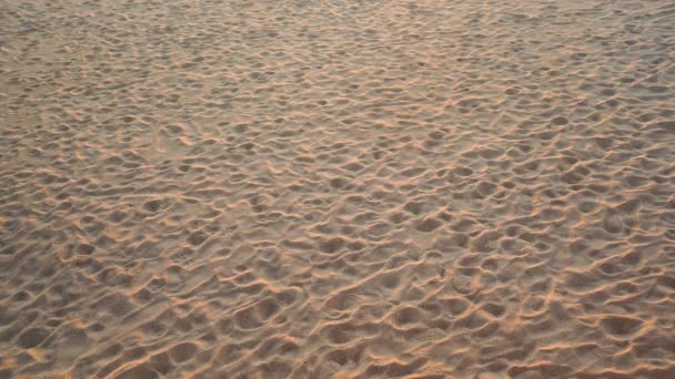 ビーチの砂のテクスチャ日没や日の出の影の光でビーチで波の砂砂のテクスチャ日没の夜の時間太陽自然の驚くべき光 — ストック動画