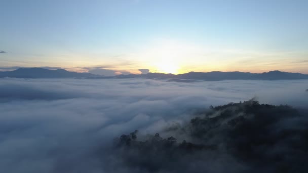 안개가 선라이즈 산이나 하늘을 뒤덮고 자연의 — 비디오