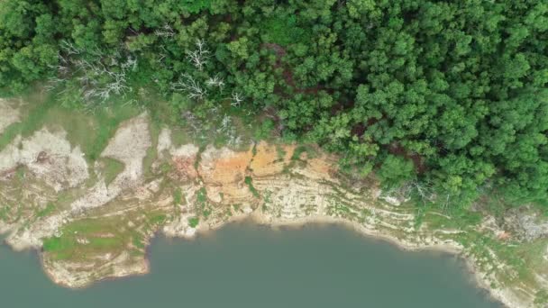 Vista Aérea Fotografía Sobre Entorno Natural Selva Tropical Abundante Fondo — Vídeo de stock
