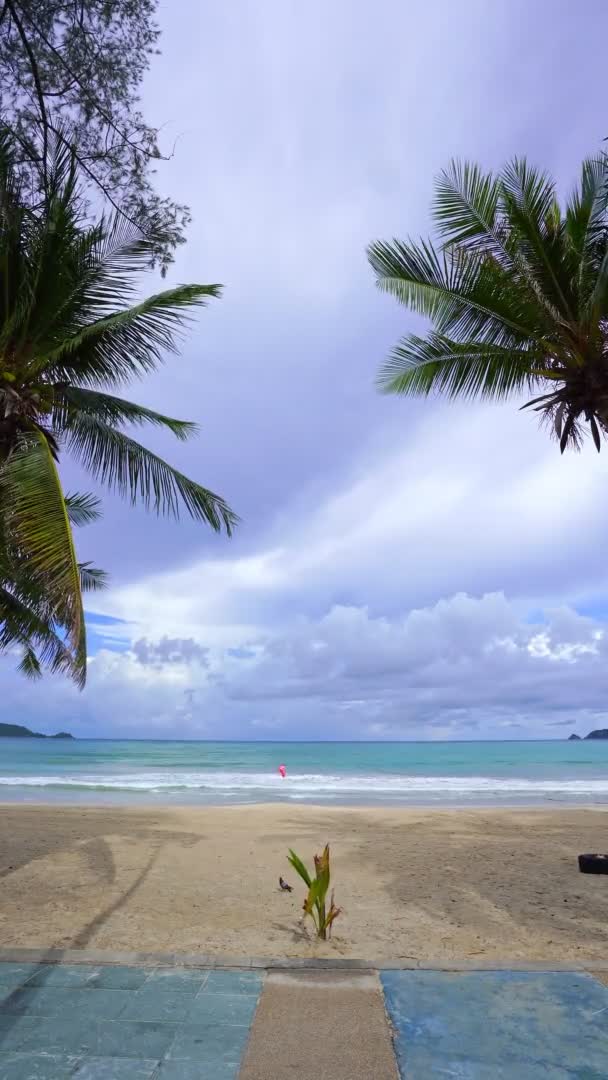 Hermosas Palmeras Coco Playa Phuket Tailandia Islas Playa Patong Palmeras — Vídeo de stock