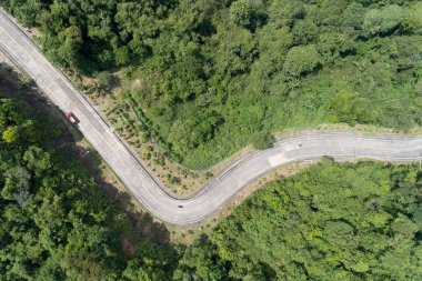 Ormandaki hava manzaralı kıvrımlı yol yeşil yaz ağaçları İHA kameraları yukarıdan aşağıya inanılmaz manzara.