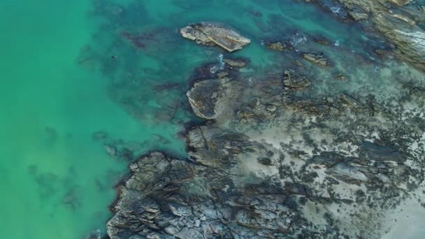 Von Oben Nach Unten Luftaufnahme Des Tropischen Türkisfarbenen Meeres Mit — Stockvideo