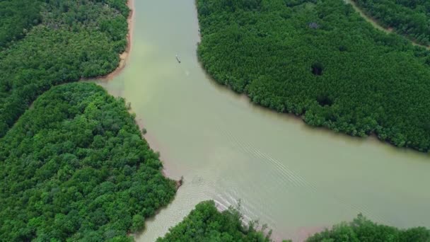 空中ビュー山のピークの背景を持つ美しい緑のマングローブの森 マングローブや海への曲線川のトップビュー ジャングルの飛行 自然と環境の概念 — ストック動画