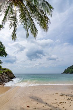 Hindistan cevizi palmiyelerinin yaz arkaplanı beyaz kumlu sahil manzarası manzarası mavi suyla romantik okyanus körfezi ve açık mavi gökyüzü Phuket Adası Tayland.