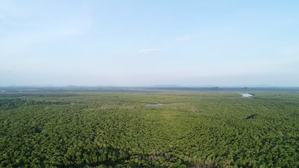 Uitzicht Lucht Prachtig Groen Mangrove Bos Met Bergen Achtergrond Verbazingwekkend — Stockvideo