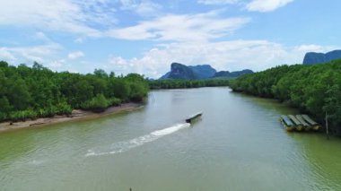 Hava manzaralı güzel yeşillik mangrov ormanı dağların zirvesi arka planda, mangrov ormanlarının en üst manzarası, Mangrov ormanları ve denize doğru eğri nehir, orman, doğa ve çevre kavramının üzerinden uçmak.