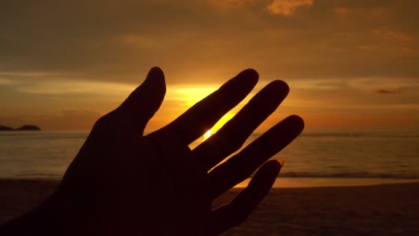 Silhouette Des Glücklichen Mannes Reicht Ihre Hände Der Sonne Bei — Stockvideo