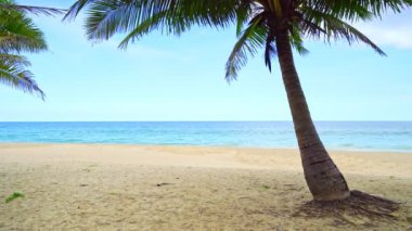 Palmiye ağaçlarının önü, mavi gökyüzü ve deniz manzaralı güzel doğa manzarası. Sabah güneşi, Tayland Patong 'un güneyindeki yeşil hindistan cevizi ağaçlarında parıldıyor. Phuket' te güzel plajlar.