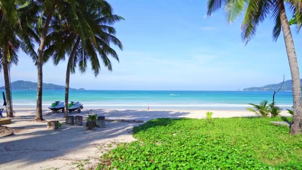 Palm Trees Beach Front Beautiful Nature Landscape Blue Sky Sea — Vídeo de stock