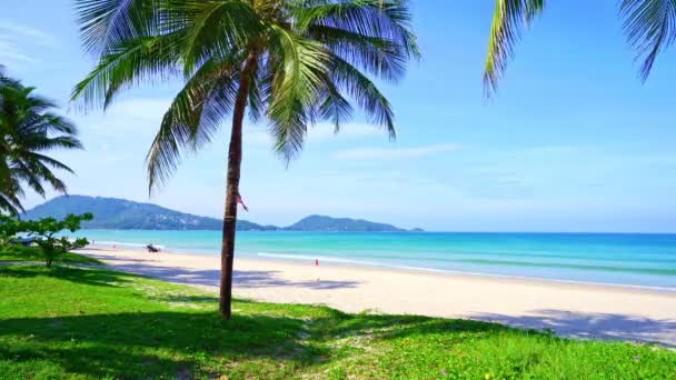 泰国南部的棕榈树海滨美丽的自然景观蓝天和海景清晨柔和的阳光照射着绿椰树泰国南部的帕东海滩美丽的海滩普吉岛 — 图库视频影像