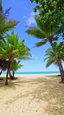 Palmiye ağaçlarının önü, mavi gökyüzü ve deniz manzaralı güzel doğa manzarası. Sabah güneşi, Tayland Patong 'un güneyindeki yeşil hindistan cevizi ağaçlarında parıldıyor. Phuket' te güzel plajlar.