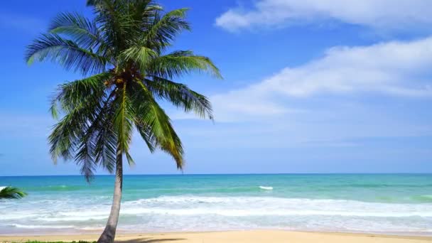泰国南部的棕榈树海滨美丽的自然景观蓝天和海景清晨柔和的阳光照射着绿椰树泰国南部的帕东海滩美丽的海滩普吉岛 — 图库视频影像