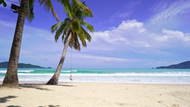Palmiye Ağaçlarının Önü Mavi Gökyüzü Deniz Manzaralı Güzel Doğa Manzarası — Stok video